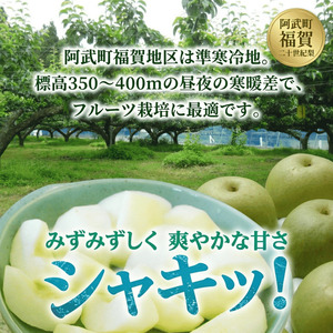 【先行予約】福賀の二十世紀梨 約5kg（12～18玉） 阿武町産 高糖度＆安心栽培 昼夜の寒暖差が生むシャキシャキ食感 数量限定 なし 梨 ナシ フルーツ 果物 旬 《お届け：2026年8月下旬～9月