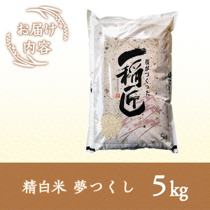 ≪令和7年産≫福岡県産 夢つくし 白米(計5kg) 白米 米 お米 おこめ ごはん ゆめつくし 夢つくし ご飯 常温 福岡県産 ブランド米 常温 常温保存 as32-004