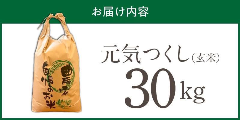 【2026年10月より順次発送】福岡県産ブランド米元気つくし 玄米 30kg【令和8年産 新米】 _  元気つくし 30kg 福岡県産 ブランド米 新米 福岡生まれ 品種 香り豊か ふっくら 食感 ご飯 おにぎり 弁当 お米 食品 お取り寄せ 九州 久留米市産 福岡県 久留米市 送料無料 _Gr093