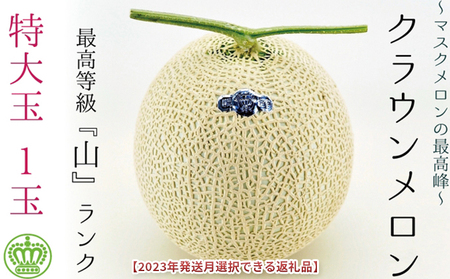 ★発送月選択できる返礼品★ 『クラウンメロン（山等級）特大玉  1玉』 ギフト箱入り メロン 人気 厳選 ギフト 贈り物 デザート グルメ  袋井市 2026年2月発送