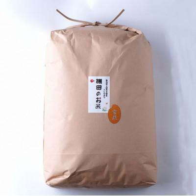 ふるさと納税 上越市 【毎月定期便】雪むろ棚田米コシヒカリ10kg(10kg×1袋)玄米-新潟県上越市安塚区産-全6回 |  | 01