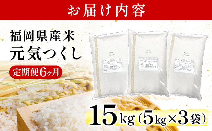 【6ヶ月定期便】令和7年産 福岡県産米 元気つくし 15kg 精米 ※北海道・沖縄・離島は配送不可 CY013sub6