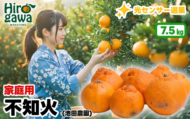 不知火 （ しらぬい ） 7.5kg+250g（痛み補償分） 家庭用 光センサー / デコポン 訳あり 甘い 和歌山 柑橘 ※2月上旬～3月下旬に順次発送 ※北海道・沖縄・離島への配送不可 【ikd010-c-7d5C】