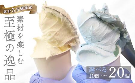 【大好評】ジェラートミルク 塩バニラ 10個 室戸市