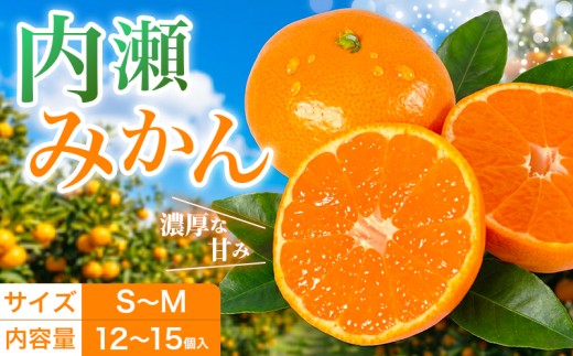 先行予約 みかん 温室みかん 約12～15個入 数量限定 期間限定 温州みかん 内瀬みかん アサヒ農園 柑橘 蜜柑 フルーツ 果物 くだもの 国産 ブランド 三重県 伊勢 志摩 南伊勢町 15000円 一万五千円 15000円以下 一万五千円以下
