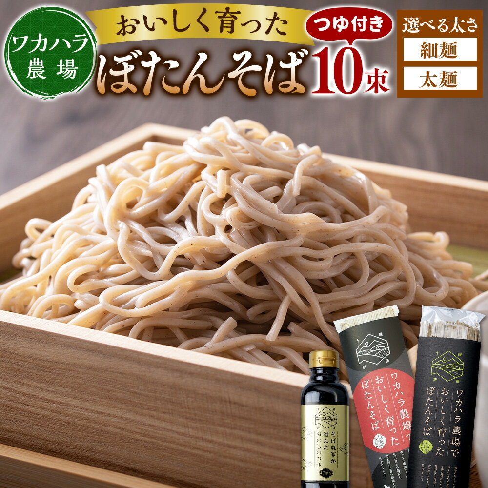 【ふるさと納税】ワカハラ農場 おいしく育った ぼたんそば 〈選べる太さ〉細麺 or 太麺 10束 つゆ 4本 セット 詰め合わせ そば 蕎麦 ソバ つゆ付 乾麺 乾めん 麺類 麺 メン お取り寄せ グルメ 北海道 新得町 送料無料【L-3502】