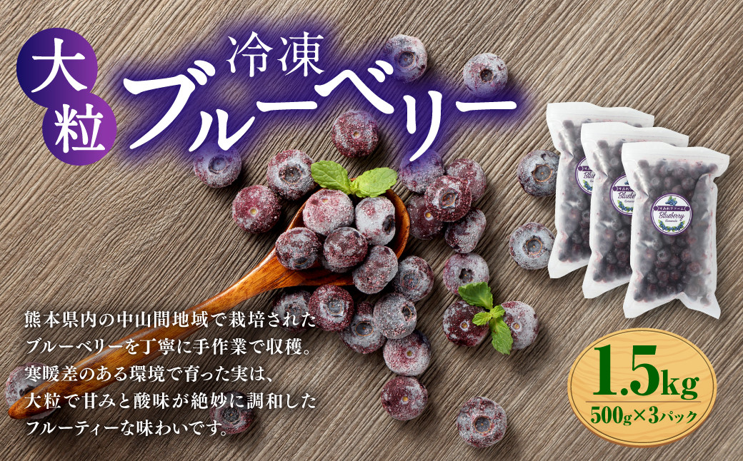 
            熊本県産 大粒 冷凍ブルーベリー 1.5kg（500g×3パック）  【2025年7月上旬発送開始】 フルーツ 果物 くだもの 冷凍 ブルーベリー 国産
          