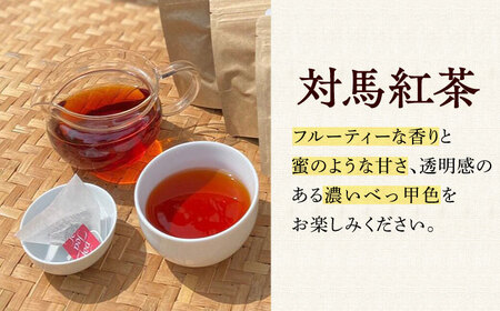 【全6回定期便】【2ヶ月に1回お届け】対馬 紅茶 ティーバッグ 20包入×3個 お茶 ティー べにふうき茶葉 フルーティー  [WBE008]