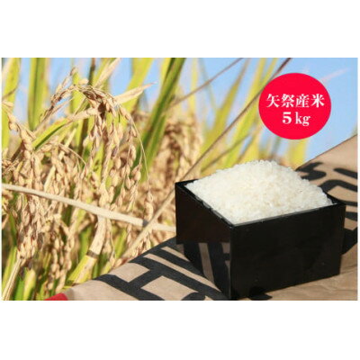 【ふるさと納税】矢祭町産コシヒカリ(白米)5kg+特産品セットD【配送不可地域：離島】【1648176】