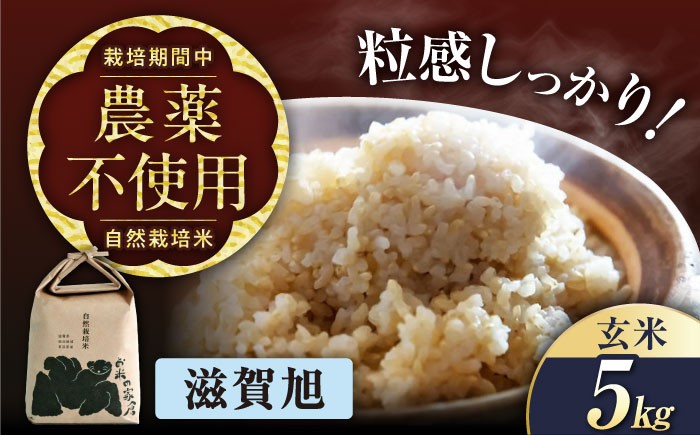 
                  ＜先行予約＞【令和8年産 新米】滋賀旭 5kg 玄米 自然栽培米 長浜市/株式会社お米の家倉 [AQCP040] 米 お米 玄米  5kg  滋賀旭 自然栽培米  滋賀県産 長浜市産 こめ 玄米 精米 お米  食品 国産 炊きたて 米ギフト もちもち ブランド米  食卓 美味しい 産地直送 人気
                