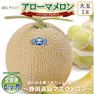 【毎月定期便】アローマメロン(大玉)1玉・6ヵ月毎月お届け【静岡高級マスクメロン】全6回【配送不可地域：離島・北海道・沖縄県】