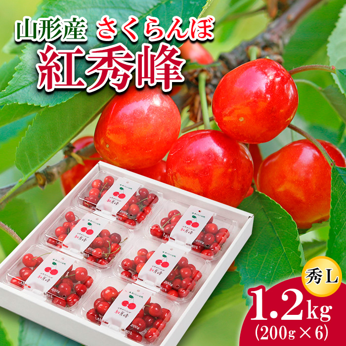 さくらんぼ 紅秀峰 L 1080g(180g×6) 【令和8年産先行予約】FS25-536