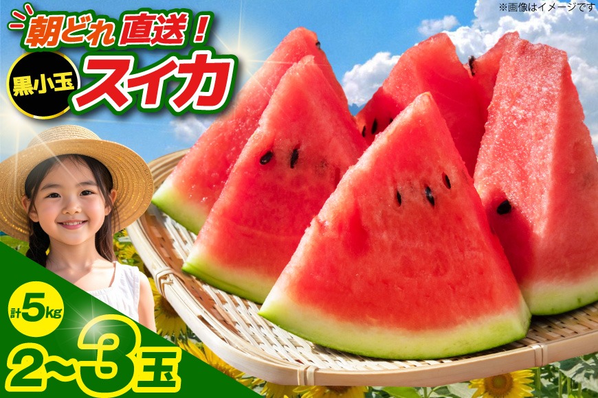 黒小玉スイカ「ひとりじめBonBon」 5kg(1.7kg以上×2~3玉) ～名水百選の里 島原産～