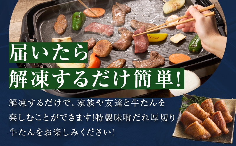 【お試し】厚切り牛タン 600g 秘伝の味噌だれ【300g×2P 牛肉 牛タン 牛たん 厚切り牛タン 焼肉 BBQ キャンプ アウトドア 焼くだけ 訳あり サイズ不揃い 小分け】 099H4422