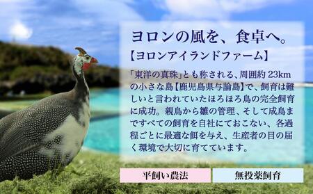 奄美 黒ほろほろ鳥 　むね 2枚