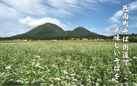 邑南十割そば 乾麵 ４人前 つゆ付き