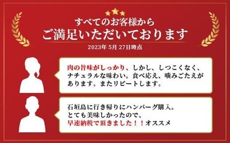 石垣牛ハンバーグセット100g×10個＜2026年3月発送＞ | 沖縄 石垣 牛 黒毛 和牛 ハンバーグ 肉 シークヮーサー 冷凍