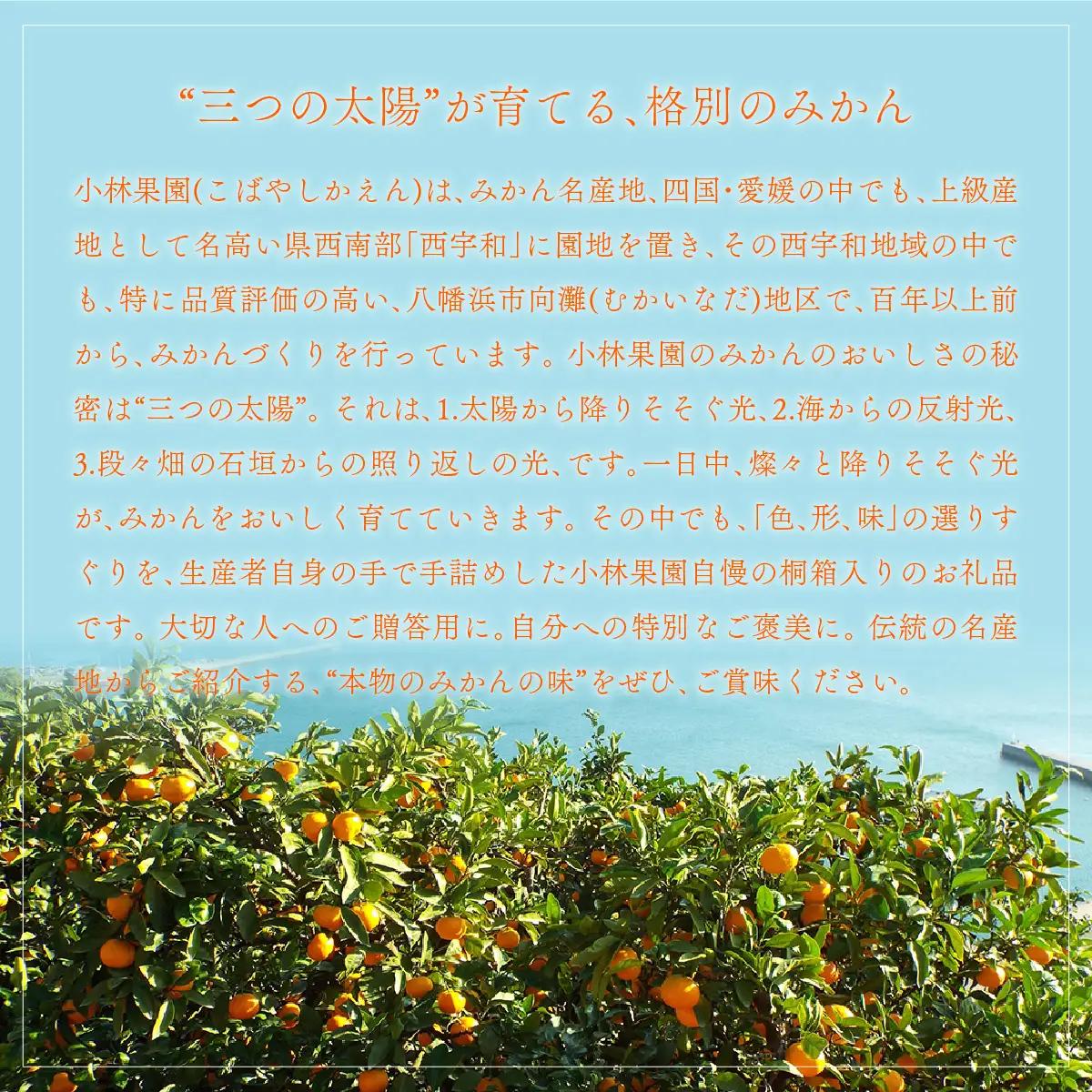 【先行受付】桐箱入り 媛一小玉みかん 金色の雫(こんじきのしずく)24個入り箱×二段重ね【D24-6】【1517951】 YWTAD003
