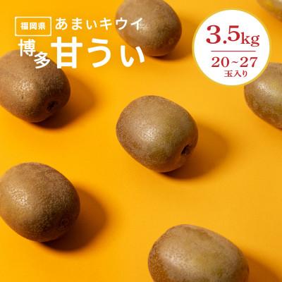 ふるさと納税 北九州市 福岡県産 博多甘うぃ 約3.5kg (20玉〜27玉入り)【2026年10月下旬より発送】
