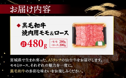 【古今東北】 宮城県産 特選仙台牛 A5ランク 美らいす和牛 焼き肉用セット（モモ・ロース） 480g（ロース 200g / も
