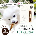 【ふるさと納税】小豆島産オリーブの犬用はみが木　S(小型犬用)　1本入　【 雑貨 ペット用品 犬用 ワンちゃん用 愛犬用 歯磨き オーラルケア 歯垢 臭い 口臭予防 自然素材 】