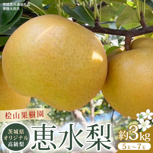 【2026年9月上旬発送開始】 茨城県 オリジナル 幻の 高級梨 『 恵水 』 約 3kg 5玉 ～ 7玉 【茨城県共通返礼品／常陸太田市】 桧山果樹園 農家直送 桧山果樹園 農家直送 フルーツ  甘い 直送 茨城 限定 ギフト 梨 恵水 けいすい 果物 [DU007sa]