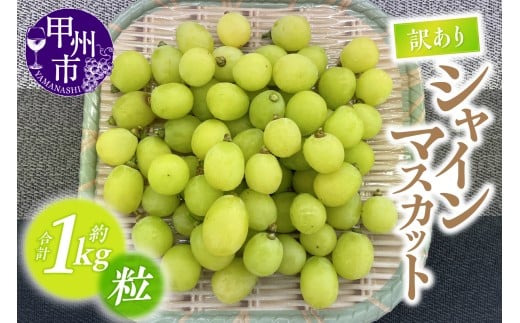 【訳あり】甲州市産シャインマスカットつぶつぶ 約1kg【2026年発送】（ATP）A09-821 【シャインマスカット 葡萄 ぶどう ブドウ 令和8年発送 期間限定 山梨県産 甲州市 フルーツ 果物】