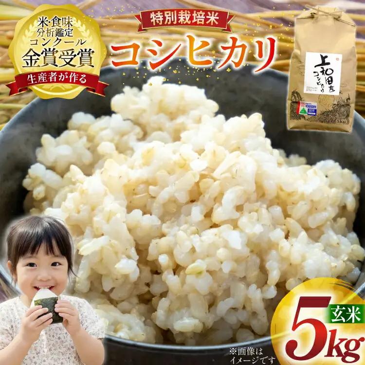 米 令和8年産 こしひかり 天日乾燥「和」 5kg 特別栽培米 玄米