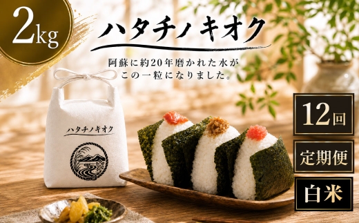 【 12回定期便 】 熊本市産 ヒノヒカリ 白米 2kg ( 約13合 ） ｜ ハタチノキオク 12回 お米 米 白飯 ご飯 おにぎり 和食 国産 熊本県産 ブランド米 定期 定期配送