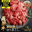 【ふるさと納税】【期間限定】訳あり 飛騨牛 切り落とし 【250g 400g 500g 1kg 1.5kg 2kg 】 | 牛肉 肉 和牛 国産牛 肉 焼肉 すき焼き a5 不揃い 小分け 冷凍 日付指定 トキノ屋食品 本巣市 訳有 [mt368] 10000円 一万円 5000円 5千円