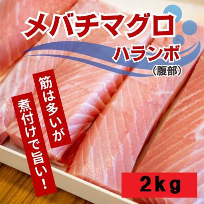 ふるさと納税 須崎市 【訳あり】メバチマグロハランボ　2kg