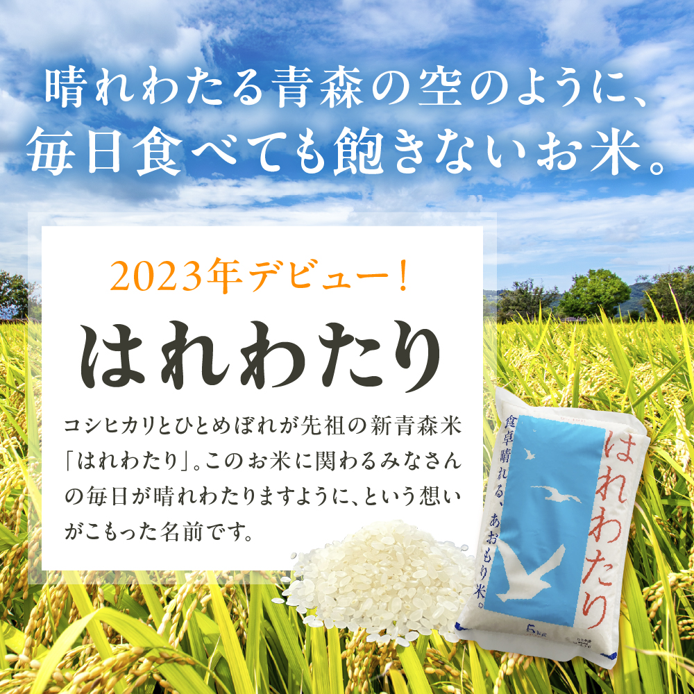 【2026年6月後半発送】青森県ブランド米 10kg (はれわたり5kg×まっしぐら5kg) 2種食べ比べセット（白米）