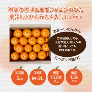 【 2025年 先行予約 】奄美タンカン 優品 5kg（ 2L ～ Mサイズ ）　A074-002 たんかん 果物 フルーツ 果実 甘い 濃厚 産地直送 先行受付 予約 受付 特産品 奄美大島産 期間