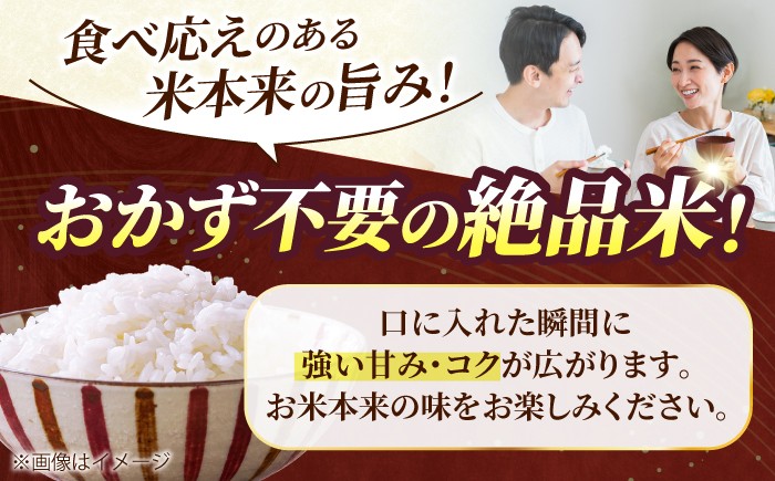 米 お米 白米 ブランド米 ごはん kome rice 10キロ 5kg 小分け