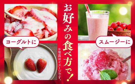 冷凍 いちご ゆうべに 約2kg【熊本ベリー】[ZER014]