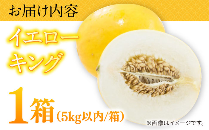 メロン イエローキング 1箱 5kg以内 / メロン めろん フルーツ 果物 / 南島原市 / 南島原果物屋 [SCV039]