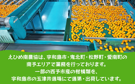 ＜ぽんかん 約10kg＞ 果物 フルーツ みかん ミカン 蜜柑 オレンジ 柑橘 椪柑 ポンカン 食べて応援 特産品 JA えひめ南農業協同組合 愛媛県 西予市【常温】『2025年1月～2月迄に順次出荷