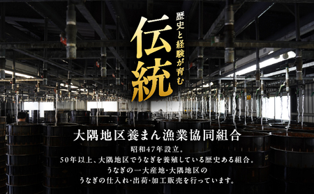 【期間限定】 鹿児島県 大隅産 うなぎ 蒲焼 4尾（400g） KN007-023 国産 本格 鰻 ウナギ 冷凍 惣菜 総菜 湯煎 レンジ 解凍 簡単調理 鰻丼 鰻重 ひつまぶし 魚 土用の丑 小分け