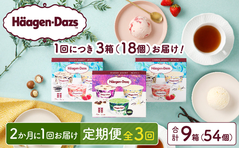 
            ＜全3回定期便・隔月＞ハーゲンダッツ『アソートボックス3箱セット(合計9箱)』アイスクリーム アイス スイーツ デザート_H0026-056-n
          