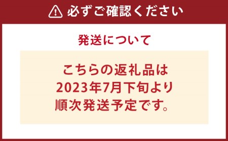 【2023年7月下旬より発送開始】国産 乾燥きくらげ きみみちゃん ホール6袋 スライス4袋 計10袋