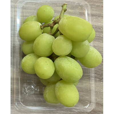 【ふるさと納税】【出荷増大記念・感謝企画】ご家庭用シャインマスカットパック　約1.4kg(3～4パック)【配送不可地域：離島・北海道・沖縄県】【1697676】