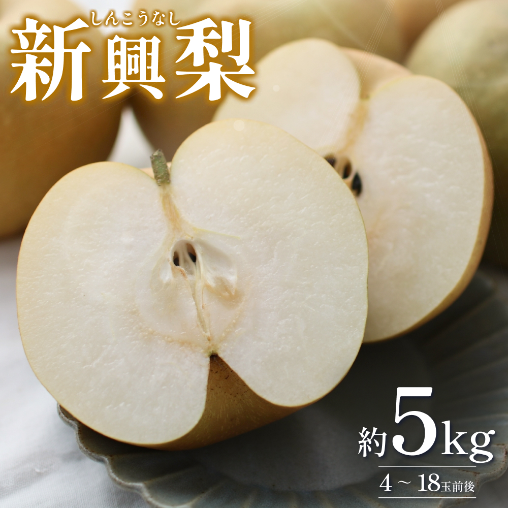 【2026・先行予約】新興梨（しんこうなし）5kg｜鳥取 果物 くだもの フルーツ なし 梨 和梨 旬 数量限定 2026年収穫後【41035】