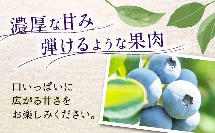 手摘み ブルーベリー 詰め合わせ 450g×4パック ＜2026年7月下旬より発送＞ ／ ブルーベリー 果物 フルーツ ベリー 国産 産地直送 農家直送 四国 愛媛県 内子町 【周年観光農園エコファー