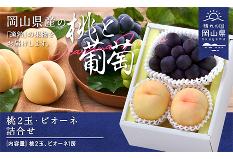 岡山県産「白桃・ニューピオーネ」詰合せ 約1.0kg