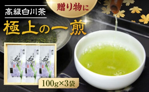 【お中元対象】《2026年 新茶》本格 高級茶セット 100g×3袋 化粧箱入り 新茶 お茶 煎茶 白川茶 茶葉 ギフト 白川町 / 菊之園 [AWAG008]
