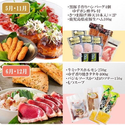定期便6回配送 【当店限定】ごちそうまんきつセット FF-6004【配送不可地域：離島】