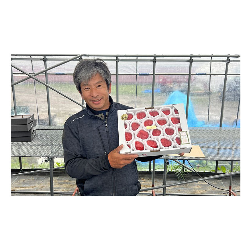 いちご 朝倉市産 あまおう L～3L 20玉 イチゴ 苺 果物 デザート ※配送不可：離島_イメージ5