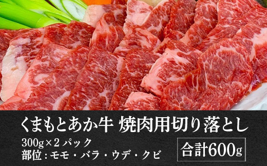 【あか牛】 くまもとあか牛 焼肉用 切り落とし 300g×2パック ＜計600g＞ 熊本県産 GI認証取得 和牛 焼肉 ヘルシー 079-0528