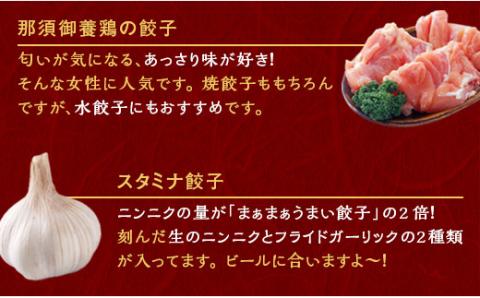 宇都宮餃子 那須御養鶏の餃子 20個 保存料不使用【 餃子 ぎょうざ 冷凍餃子 冷凍食品 惣菜 栃木県 宇都宮市 】※配送不可地域：離島
