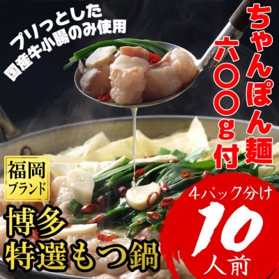 「10人前!」博多特選もつ鍋(プリプリの国産牛小腸のみ使用)(4パック小分けが便利)(宇美町)【配送不可地域：離島】